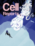 CellReports